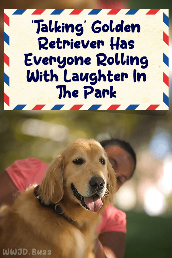 \'Talking\' Golden Retriever Has Everyone Rolling With Laughter In The Park