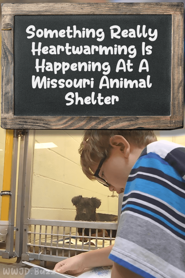 Something Really Heartwarming Is Happening At A Missouri Animal Shelter
