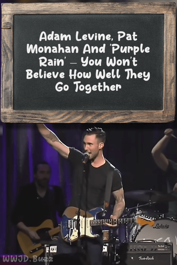 Adam Levine, Pat Monahan And \'Purple Rain\' – You Won\'t Believe How Well They Go Together