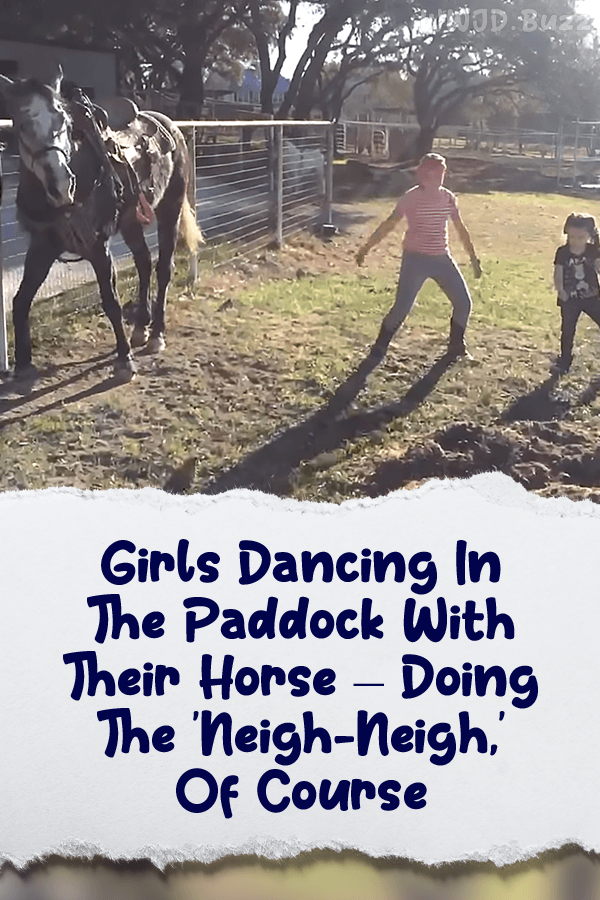 Girls Dancing In The Paddock With Their Horse – Doing The \'Neigh-Neigh,\' Of Course