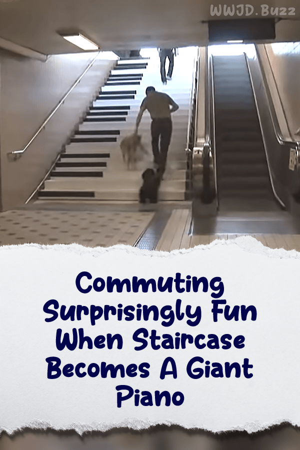 Commuting Surprisingly Fun When Staircase Becomes A Giant Piano