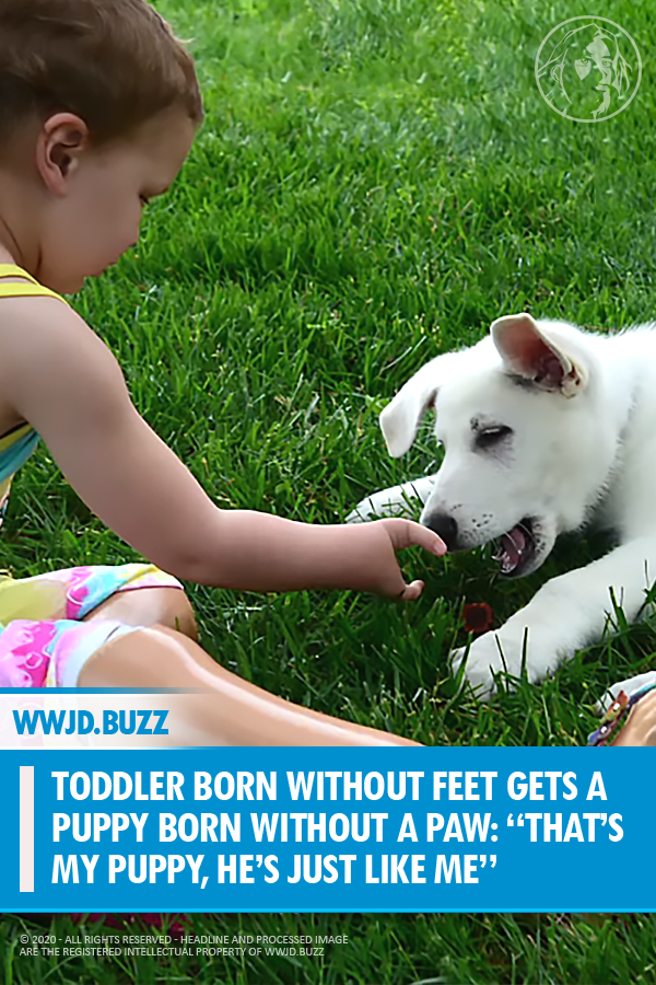 Toddler Born Without Feet Gets A Puppy Born Without A Paw: “That’s My Puppy, He’s Just Like Me”