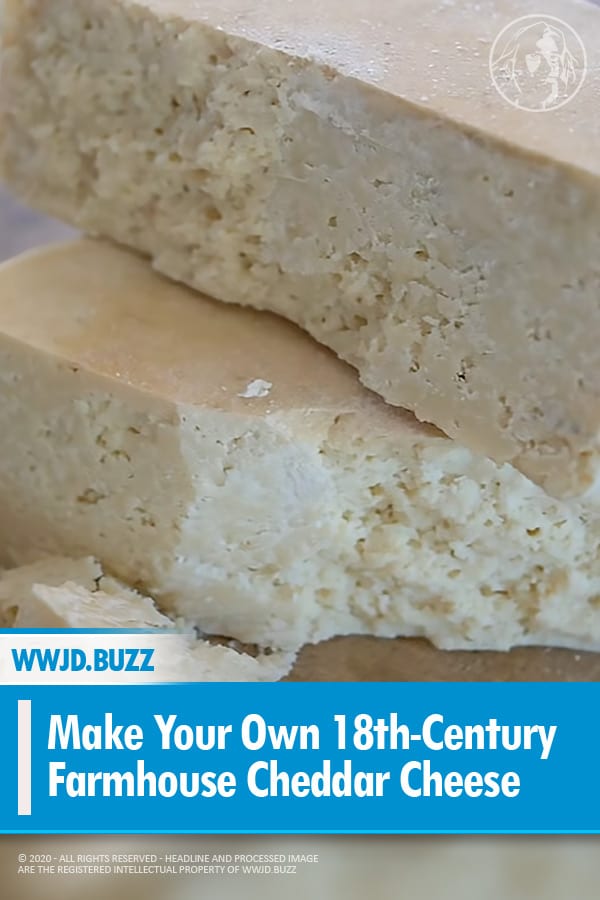 Make Your Own 18th-Century Farmhouse Cheddar Cheese