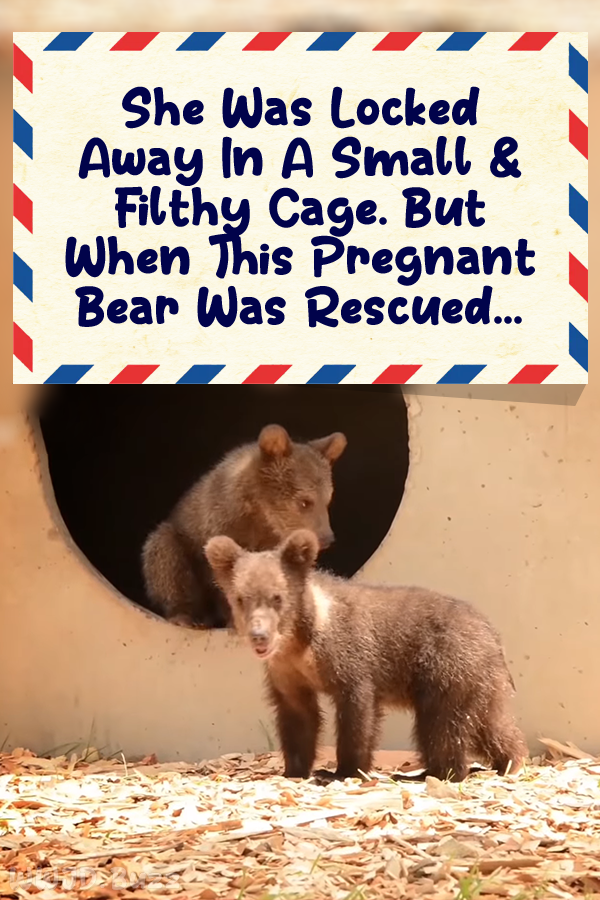 She Was Locked Away In A Small &  Filthy Cage. But When This Pregnant Bear Was Rescued...