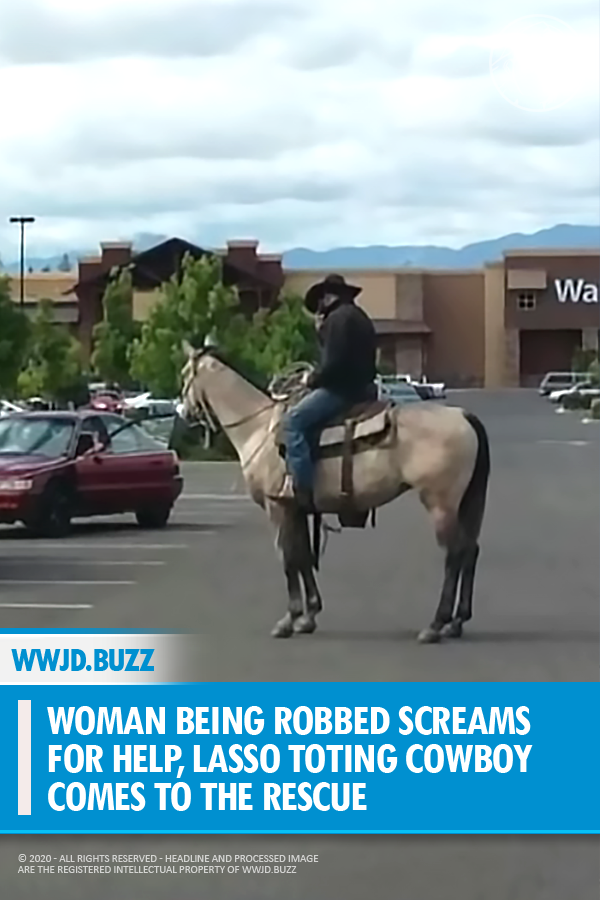 Woman Being Robbed Screams for Help, Lasso Toting Cowboy Comes to The Rescue