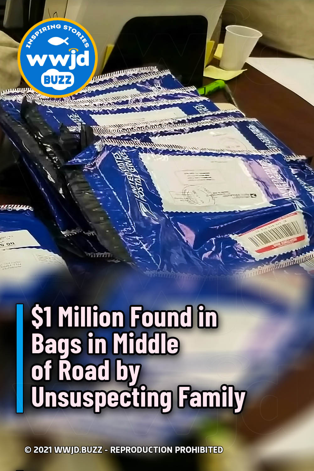 $1 Million Found in Bags in Middle of Road by Unsuspecting Family