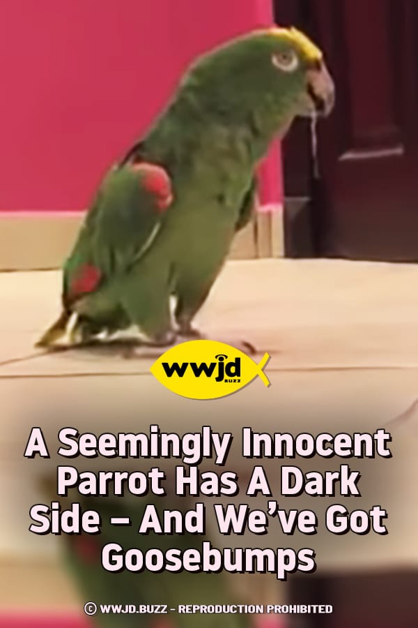 A Seemingly Innocent Parrot Has A Dark Side - And We’ve Got Goosebumps