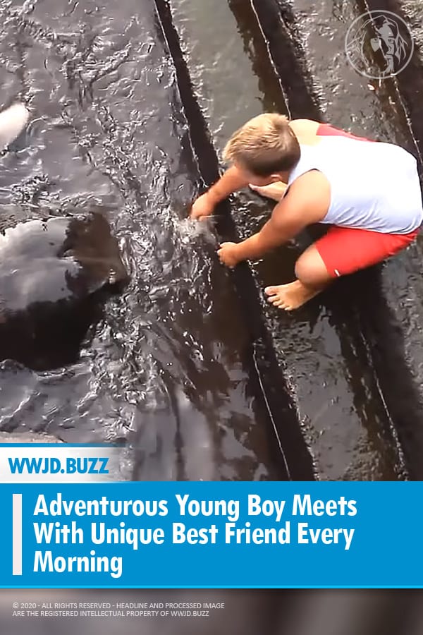 Adventurous Young Boy Meets With Unique Best Friend Every Morning