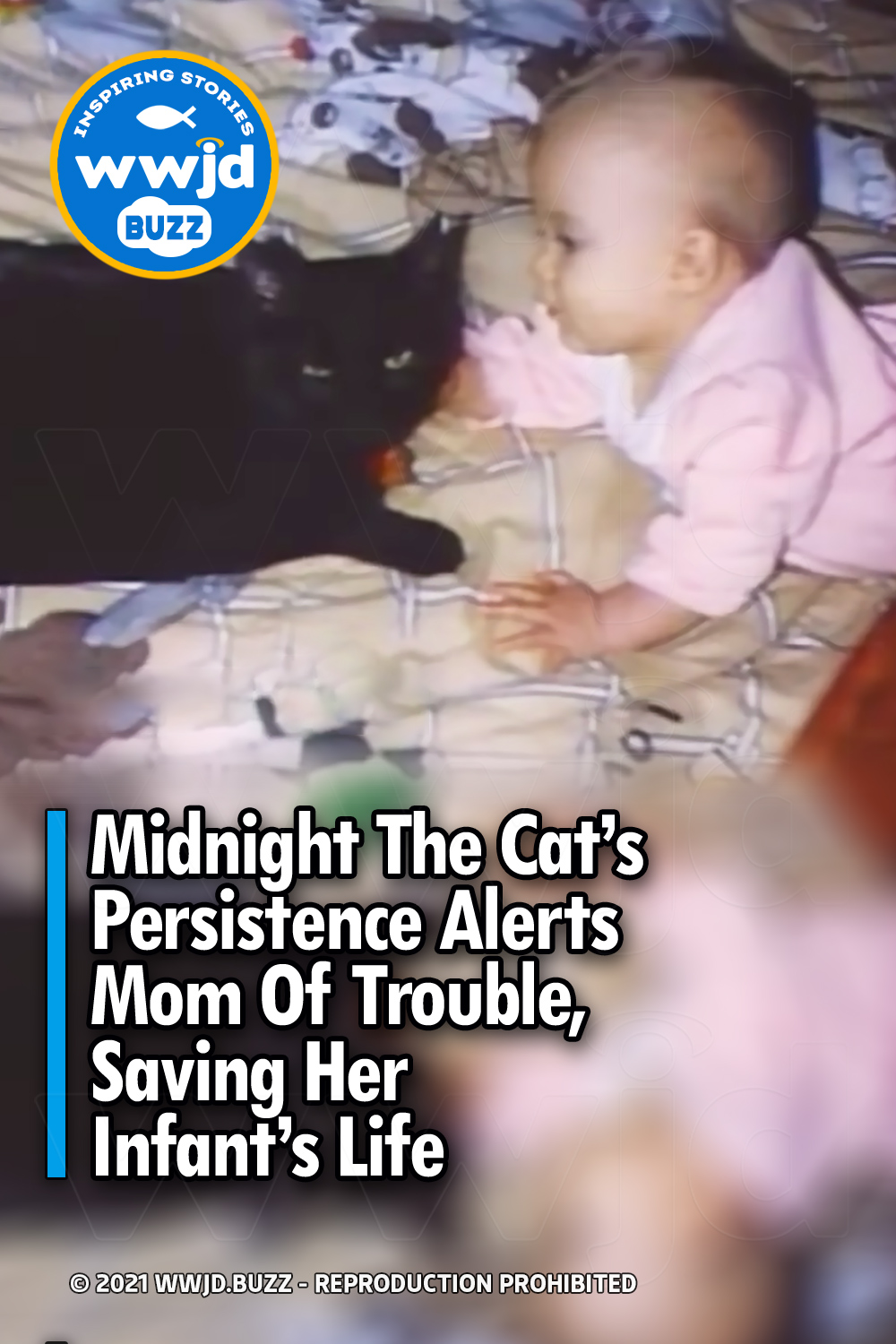 Midnight The Cat’s Persistence Alerts Mom Of Trouble, Saving Her Infant’s Life
