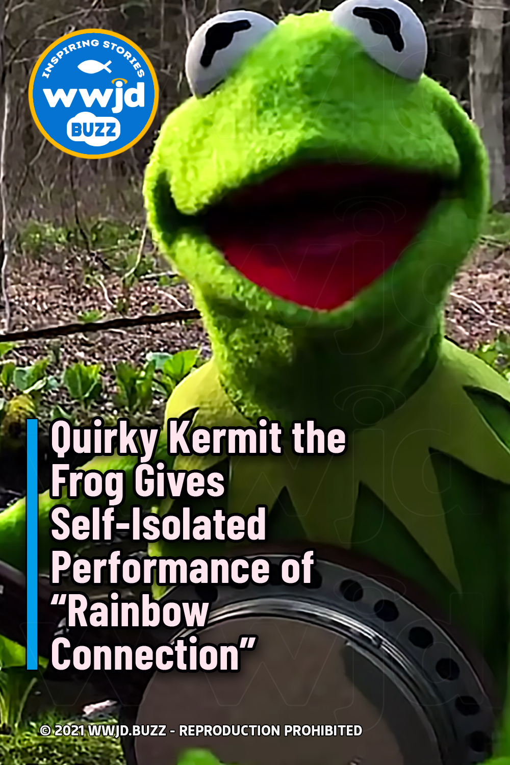 Quirky Kermit the Frog Gives Self-Isolated Performance of “Rainbow Connection”