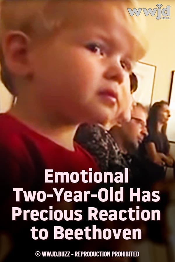Emotional Two-Year-Old Has Precious Reaction to Beethoven