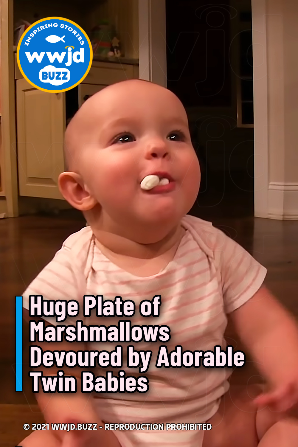 Huge Plate of Marshmallows Devoured by Adorable Twin Babies