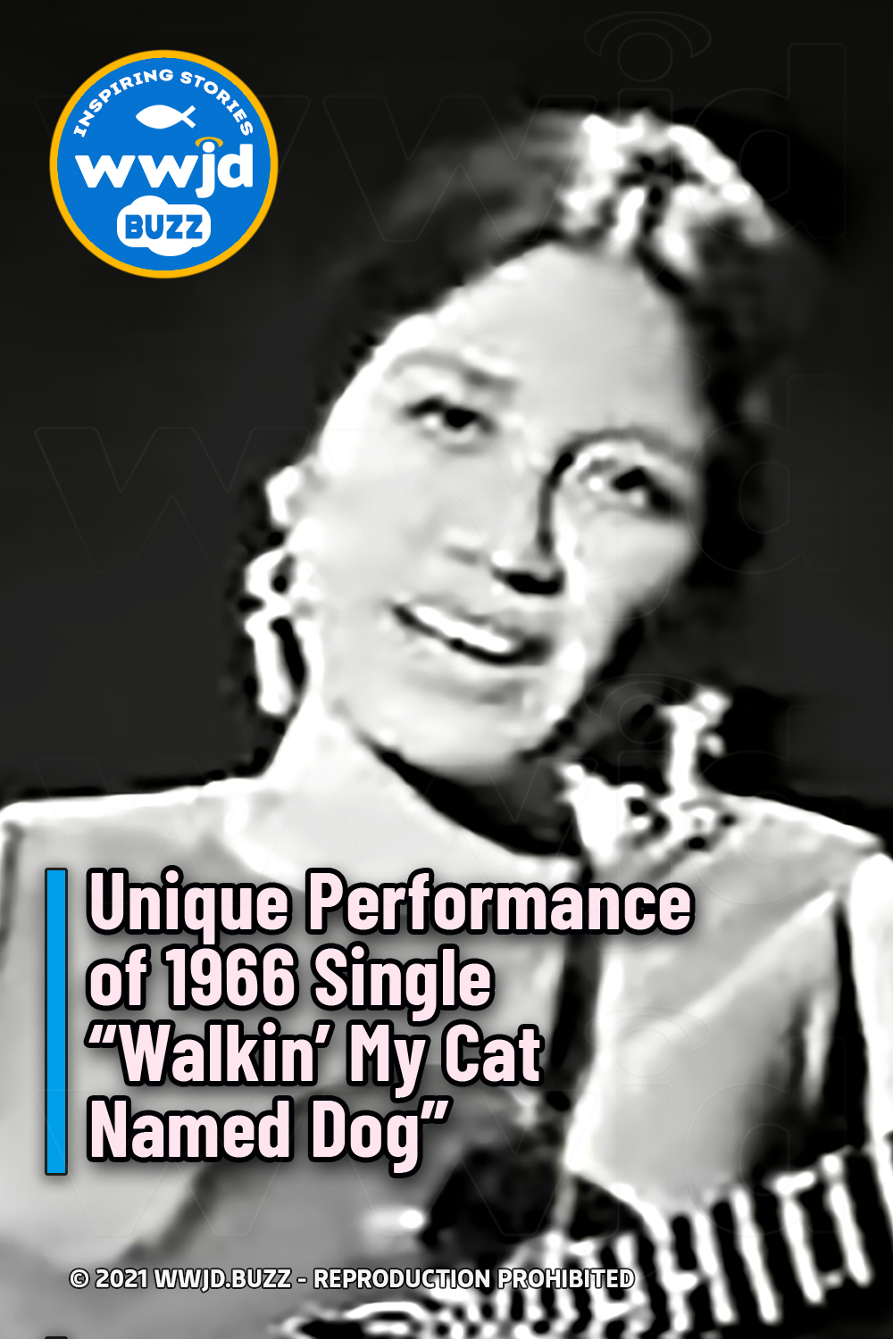 Unique Performance of 1966 Single “Walkin’ My Cat Named Dog”