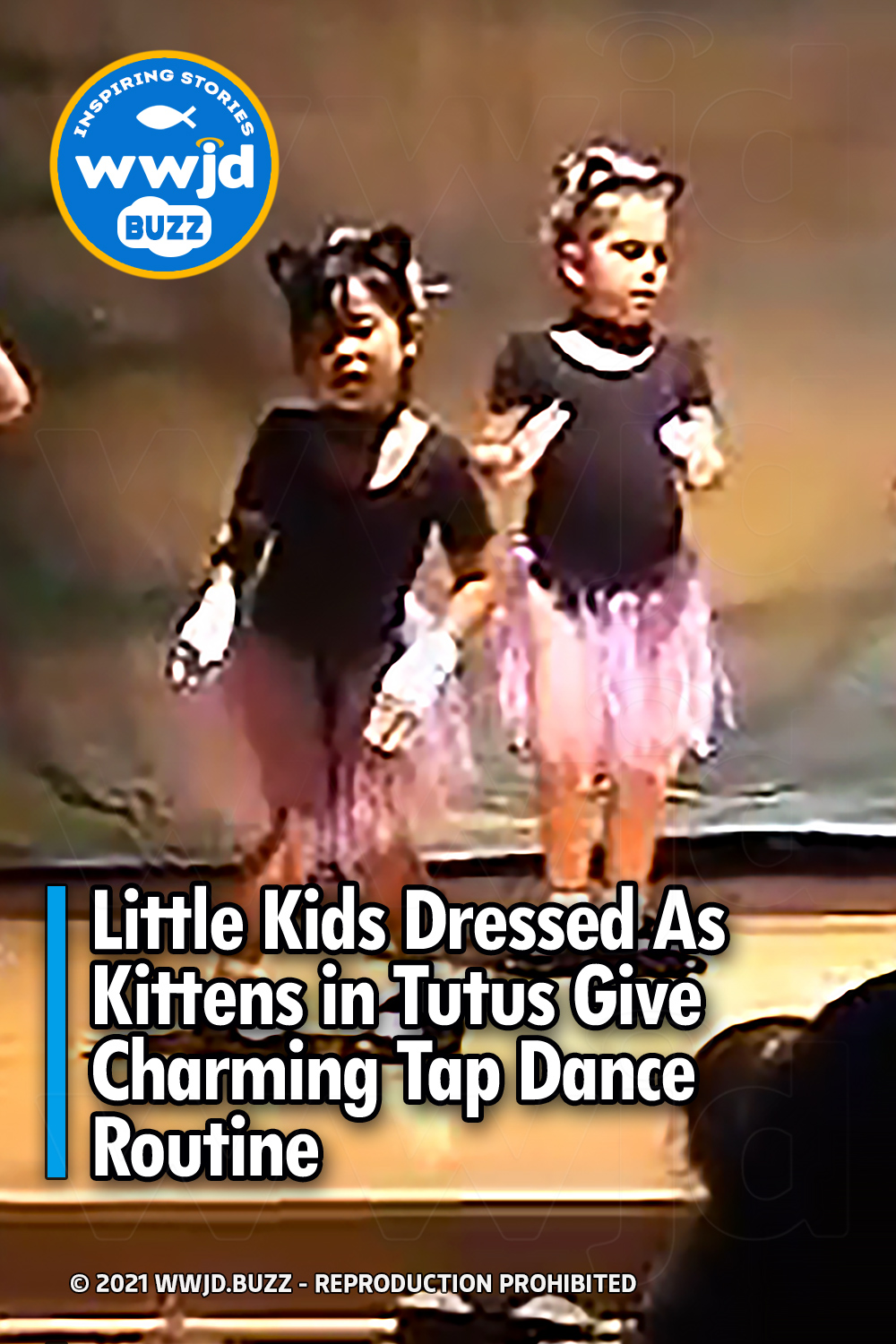 Little Kids Dressed As Kittens in Tutus Give Charming Tap Dance Routine