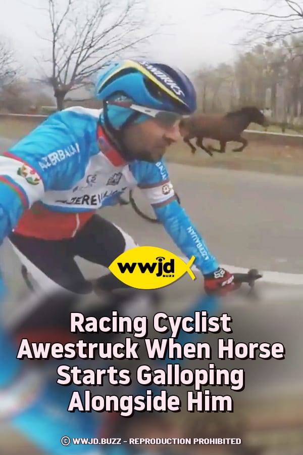 Racing Cyclist Awestruck When Horse Starts Galloping Alongside Him