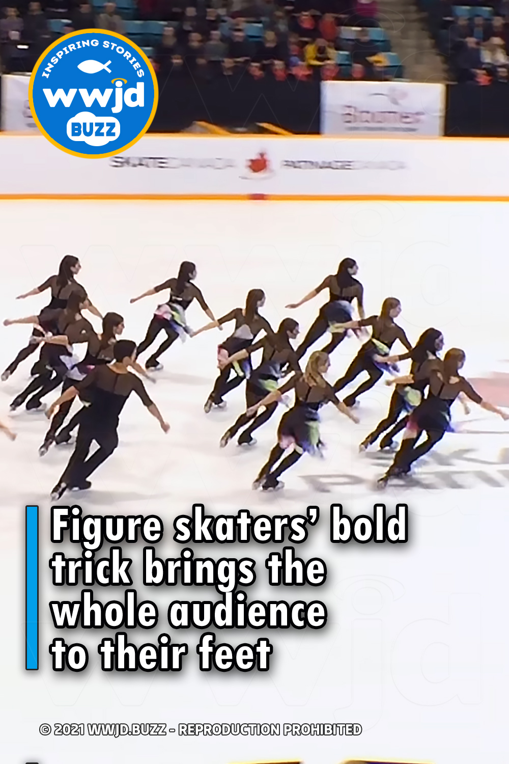Figure skaters’ bold trick brings the whole audience to their feet