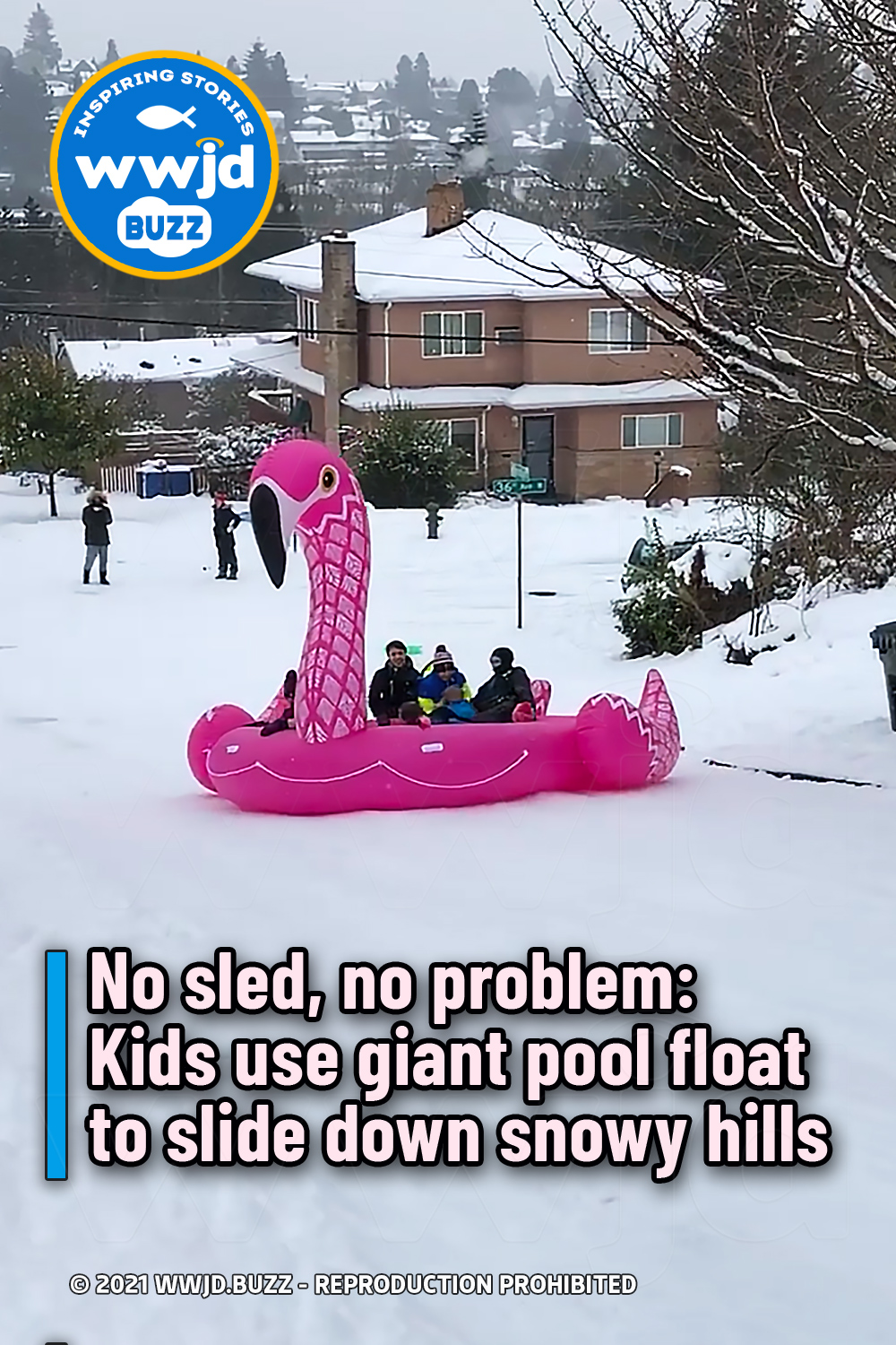 No sled, no problem: Kids use giant pool float to slide down snowy hills