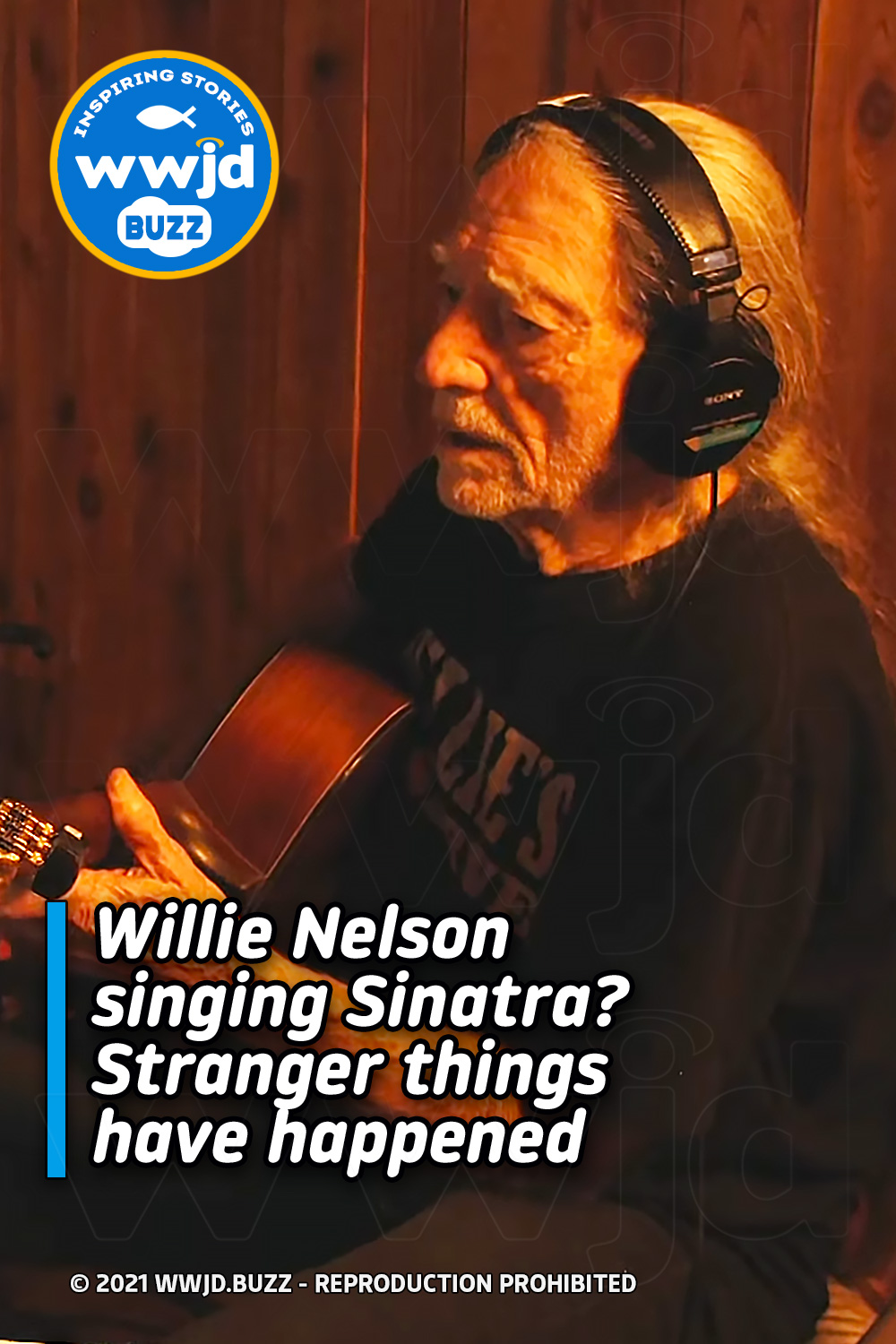 Willie Nelson singing Sinatra? Stranger things have happened