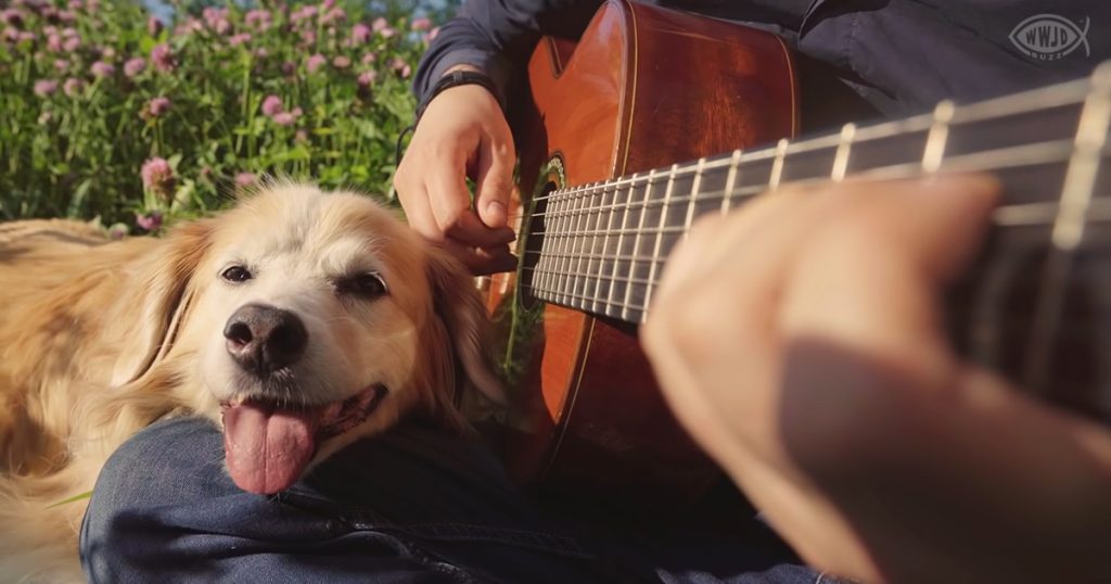Gifted guitarist honors aging dog with ‘Hallelujah’ WWJD