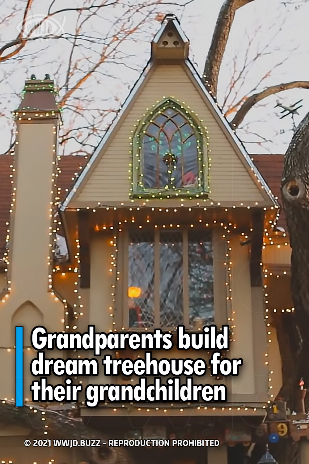 Grandparents build dream treehouse for their grandchildren