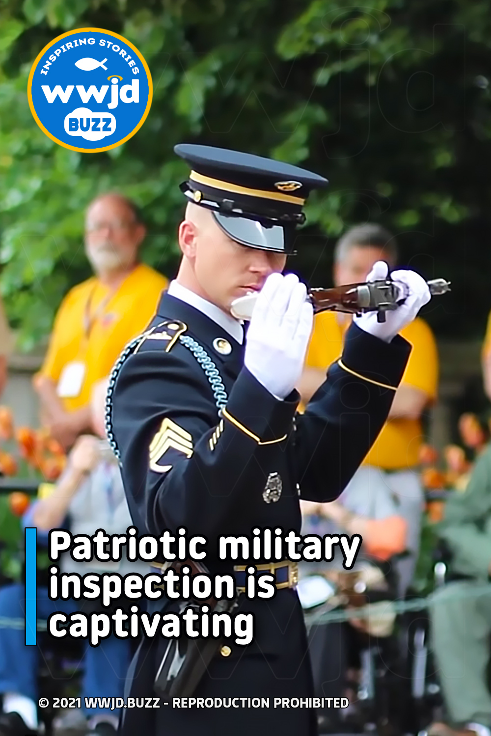 Patriotic military inspection is captivating