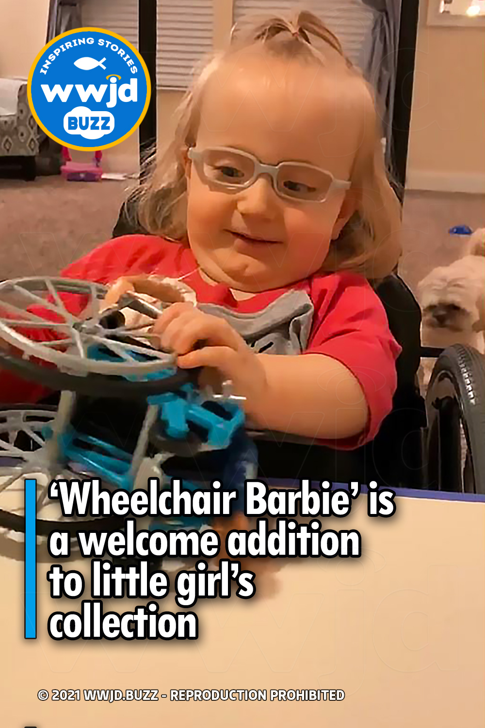 ‘Wheelchair Barbie’ is a welcome addition to little girl’s collection