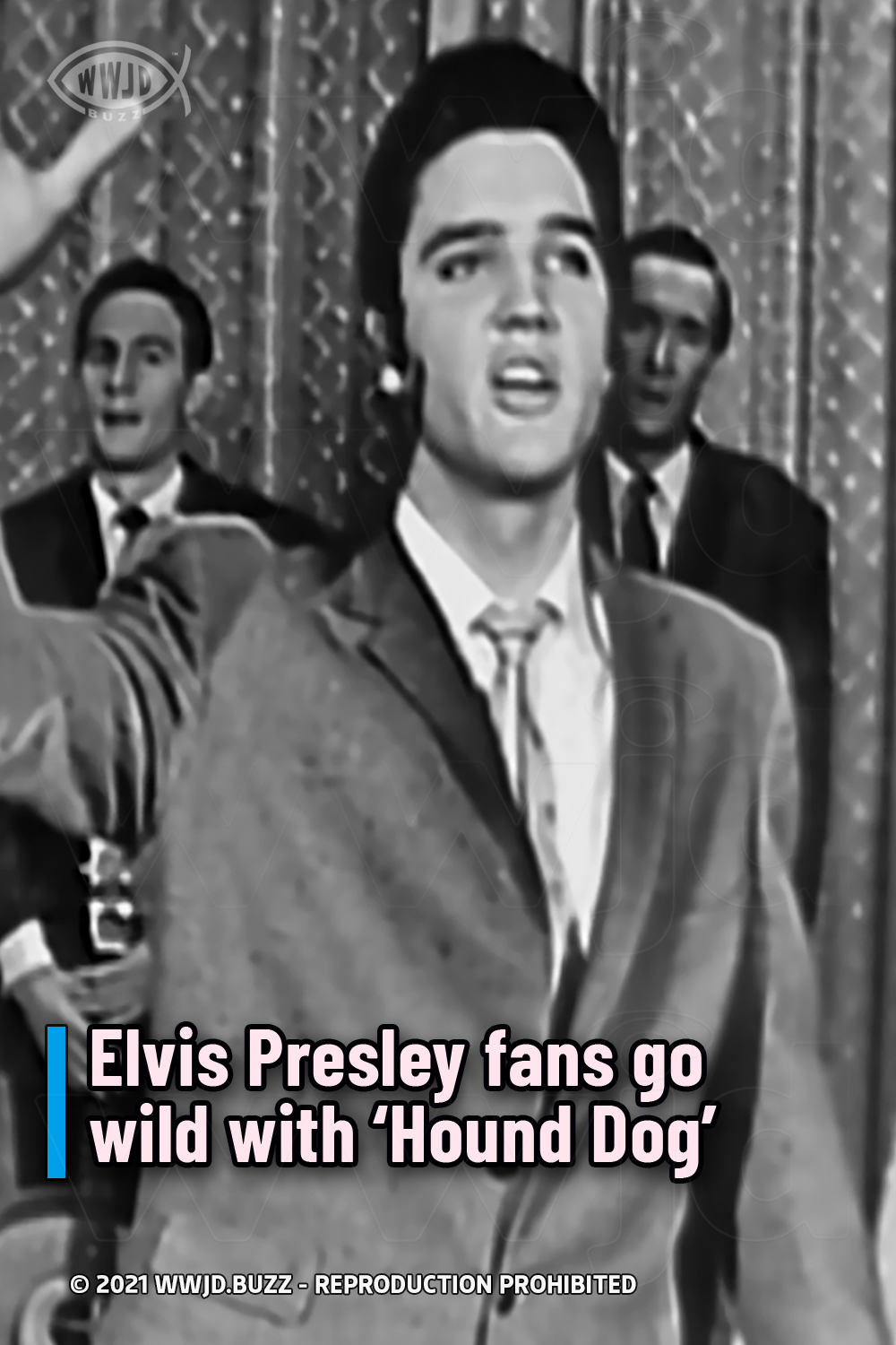 Elvis Presley fans go wild with ‘Hound Dog’