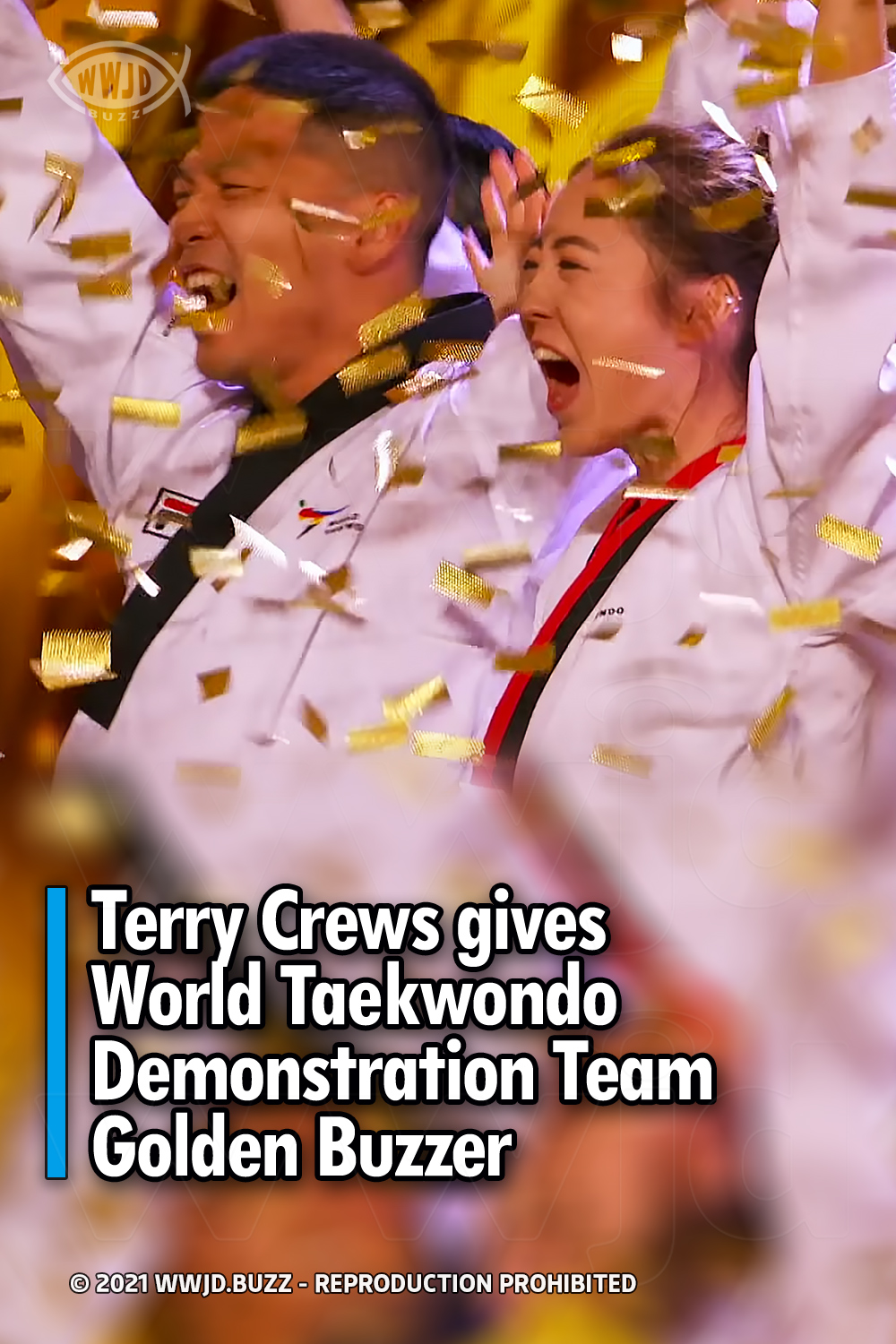 Terry Crews gives World Taekwondo Demonstration Team Golden Buzzer