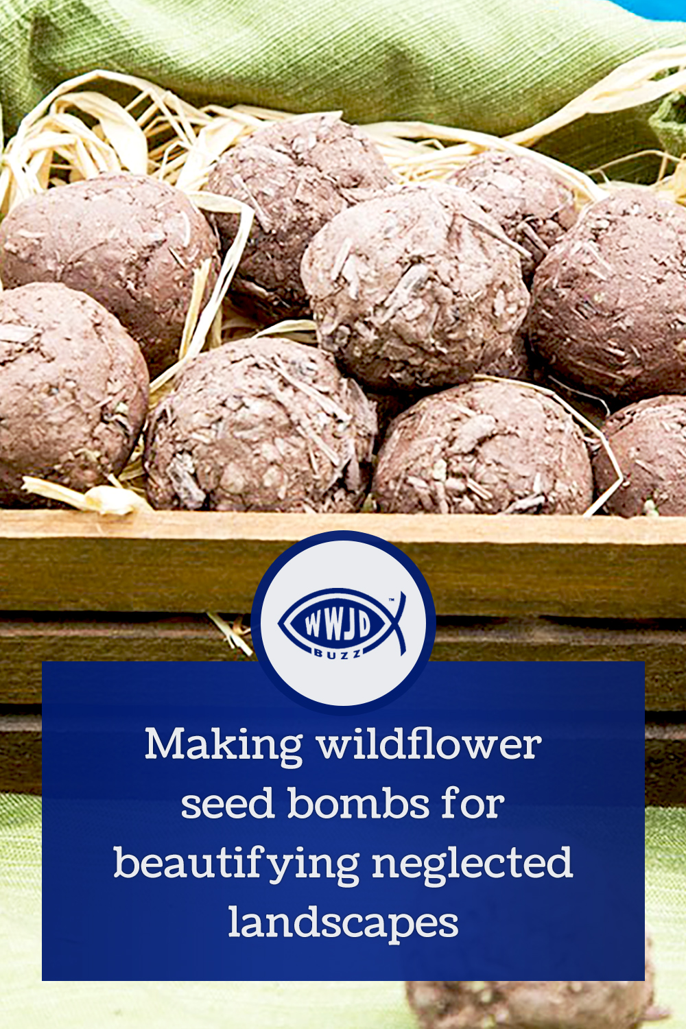Making wildflower seed bombs for beautifying neglected landscapes
