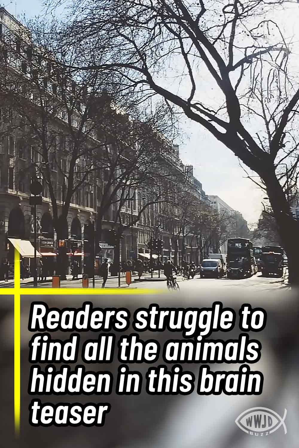 Readers struggle to find all the animals hidden in this brain teaser