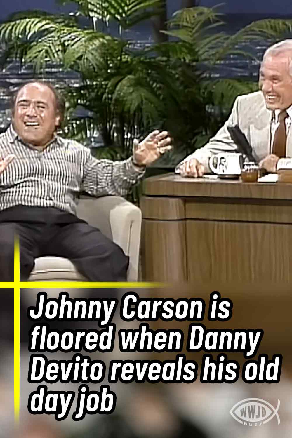 Johnny Carson is floored when Danny Devito reveals his old day job