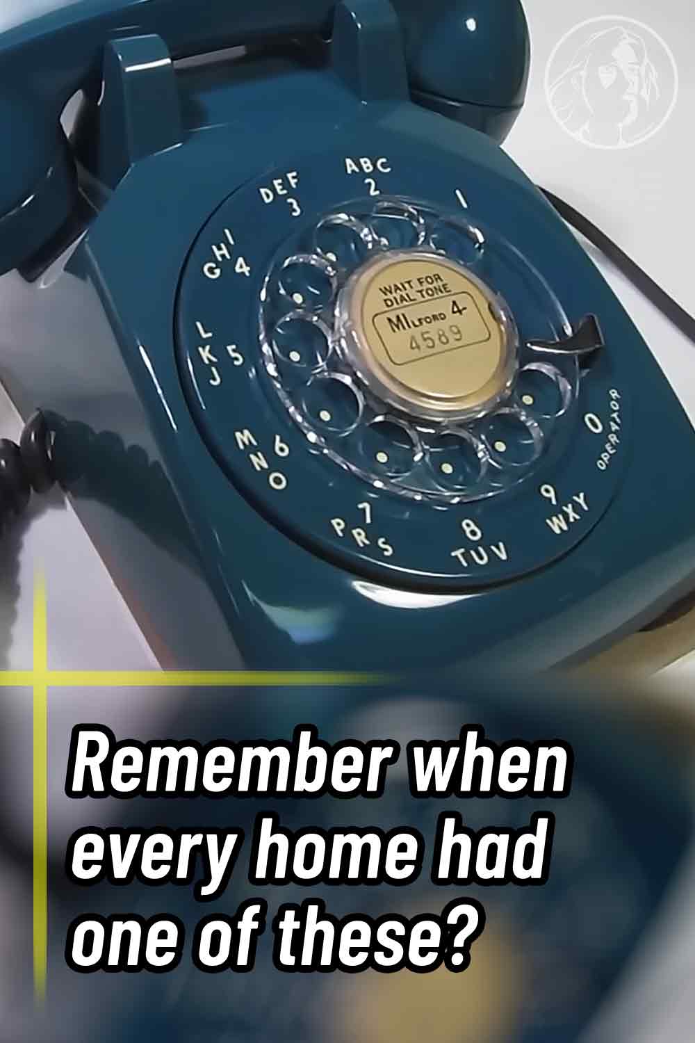 Remember when every home had one of these?