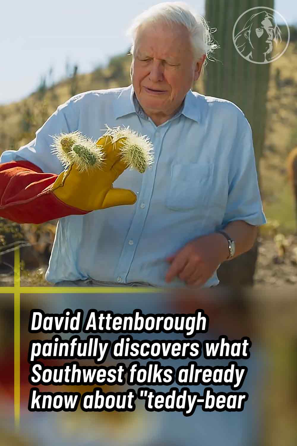 David Attenborough painfully discovers what Southwest folks already know about \